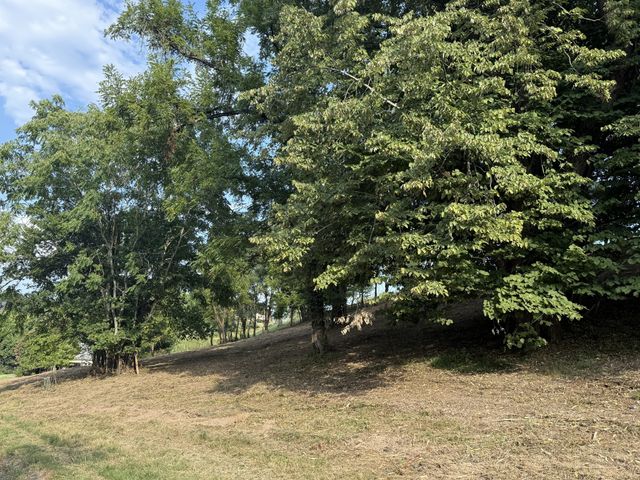 0 Deer Ridge Road, Columbia, TN 38401