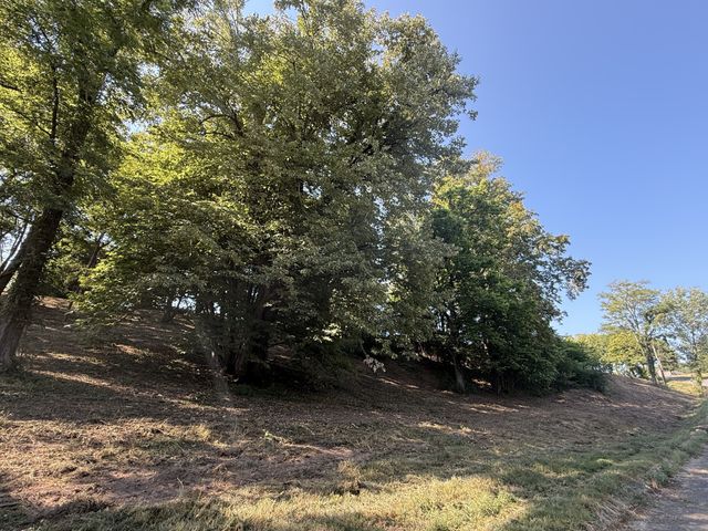 0 Deer Ridge Road, Columbia, TN 38401