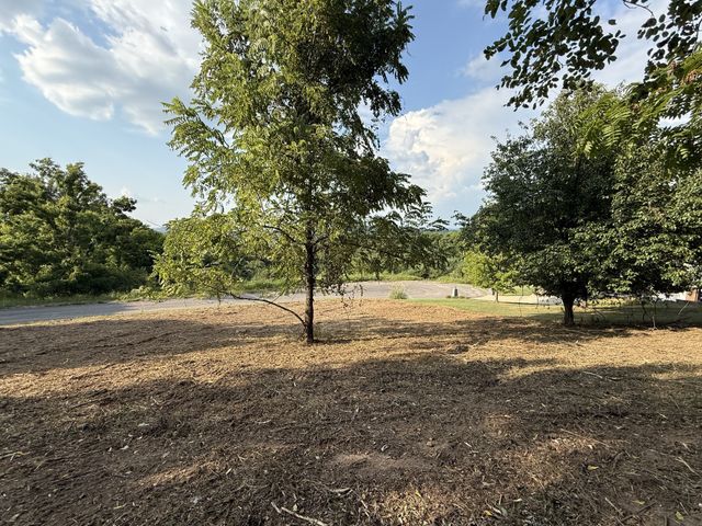 0 Deer Ridge Road, Columbia, TN 38401