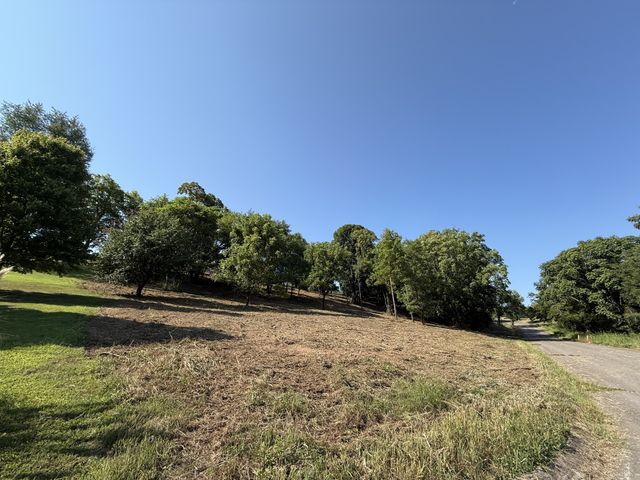 0 Deer Ridge Road, Columbia, TN 38401