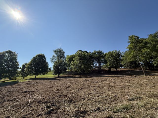 0 Deer Ridge Road, Columbia, TN 38401