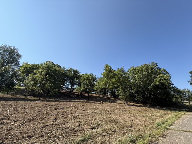 0 Deer Ridge Road, Columbia, TN 38401