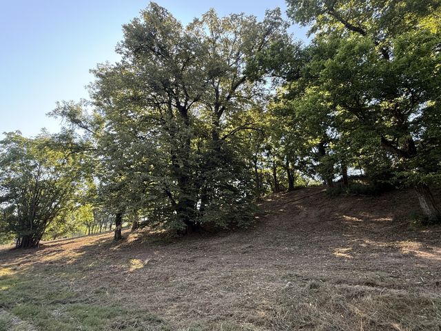 0 Deer Ridge Road, Columbia, TN 38401