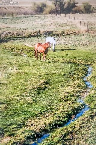 6597 S Highway 83, Franktown, CO 80116