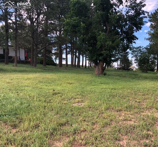 6597 S Highway 83, Franktown, CO 80116