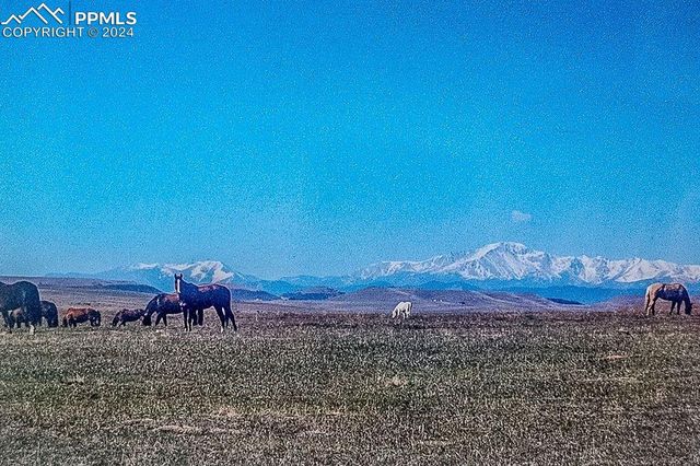 6597 S Highway 83, Franktown, CO 80116