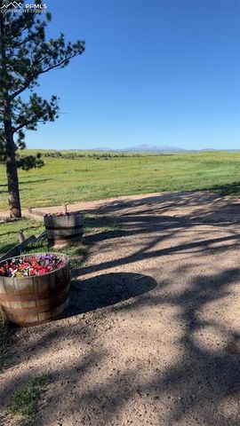 6597 S Highway 83, Franktown, CO 80116