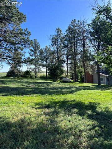 6597 S Highway 83, Franktown, CO 80116
