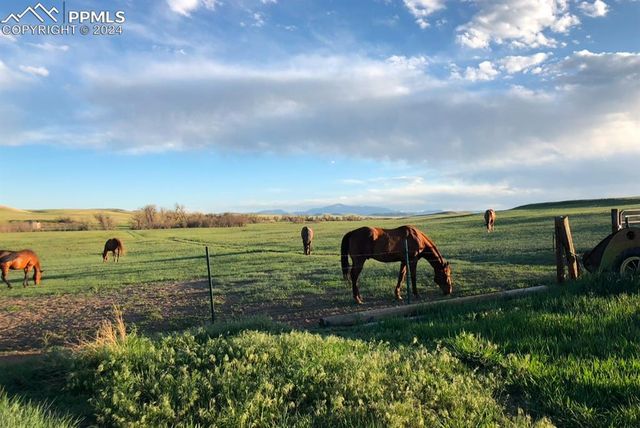 6597 S Highway 83, Franktown, CO 80116