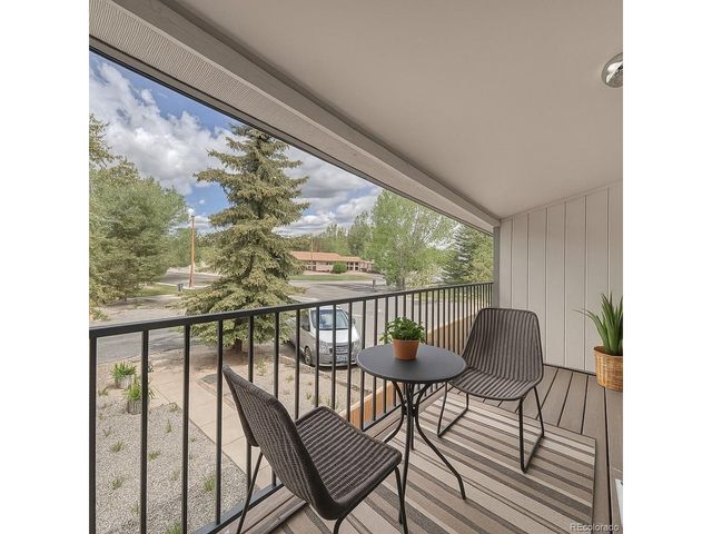 921 Mt Massive Dr 3-10, Leadville, CO 80461