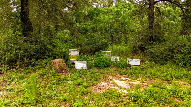 9144 Rocky Ridge Lane, Madisonville, TX 77864