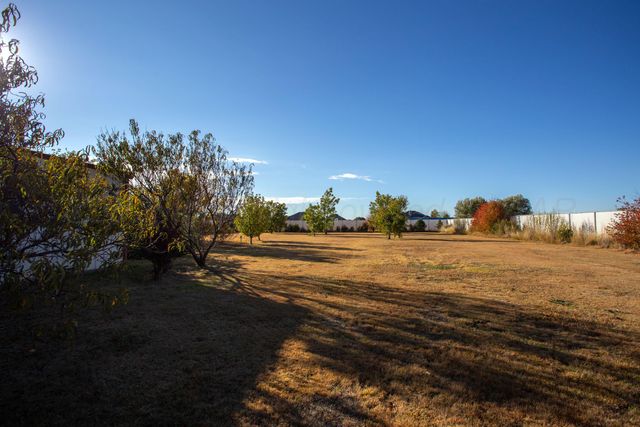 8001 RABURN Lane, Canyon, TX 79015