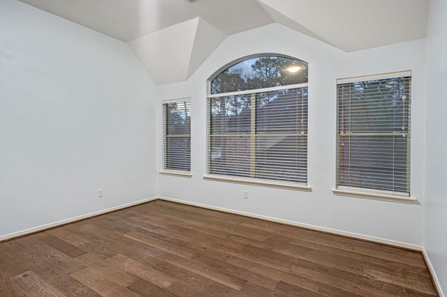 199 Maple Path Place, The Woodlands, TX 77382