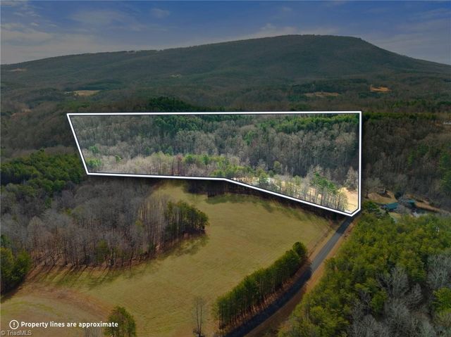 1721 Camp Dogwood Road, Pinnacle, NC 27043