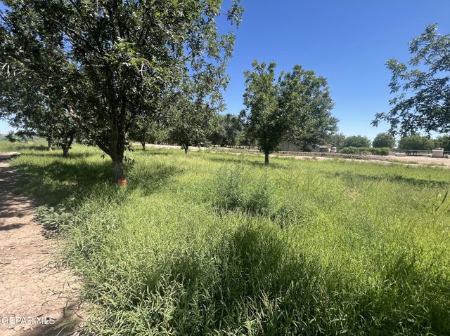 1000 NEWMAN, Fabens, TX 79838