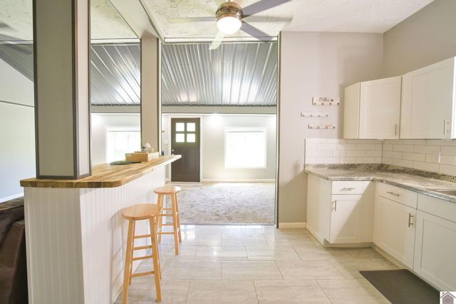 878 Oak Level Elva Road, Symsonia, KY 42082