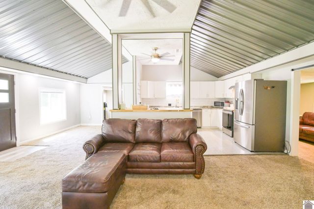 878 Oak Level Elva Road, Symsonia, KY 42082