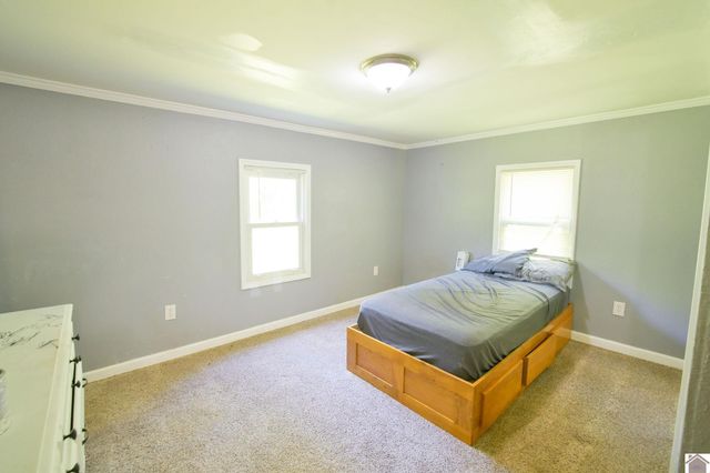 878 Oak Level Elva Road, Symsonia, KY 42082