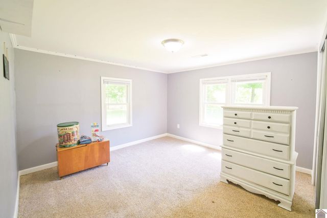 878 Oak Level Elva Road, Symsonia, KY 42082