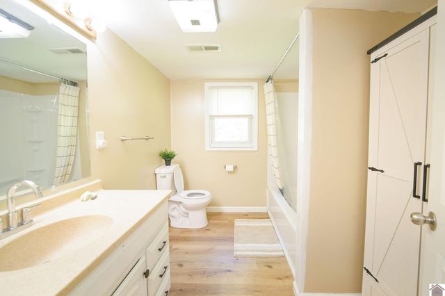 878 Oak Level Elva Road, Symsonia, KY 42082