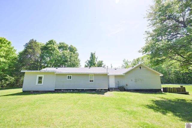 878 Oak Level Elva Road, Symsonia, KY 42082