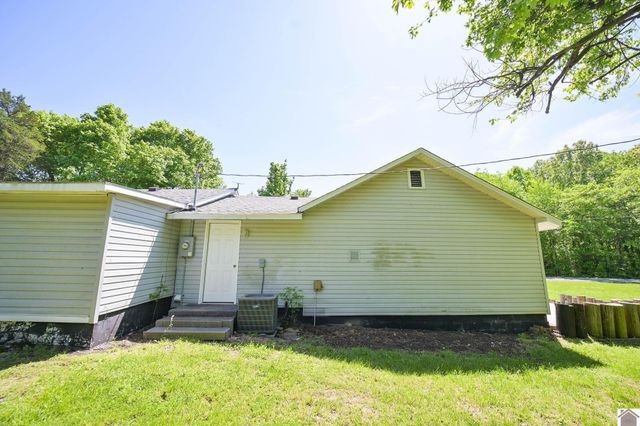 878 Oak Level Elva Road, Symsonia, KY 42082