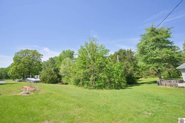 878 Oak Level Elva Road, Symsonia, KY 42082
