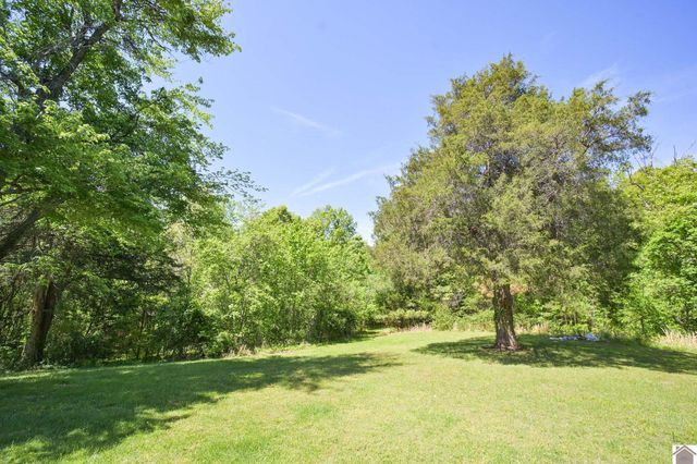 878 Oak Level Elva Road, Symsonia, KY 42082