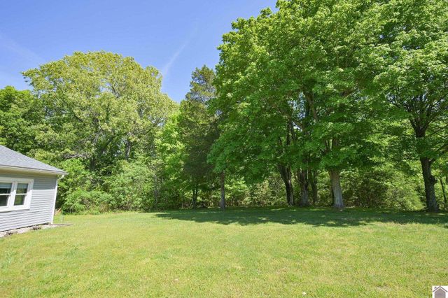 878 Oak Level Elva Road, Symsonia, KY 42082