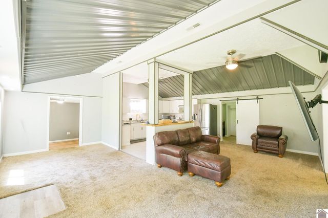 878 Oak Level Elva Road, Symsonia, KY 42082