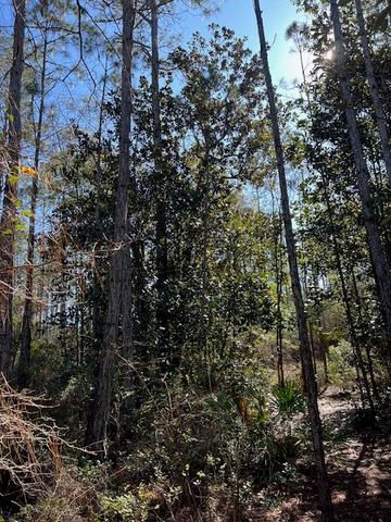 ABC Chat Holley RD & Harstvedt RD, Santa Rosa Beach, FL 32459