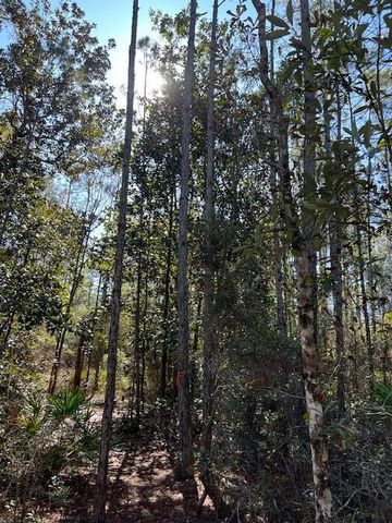 ABC Chat Holley RD & Harstvedt RD, Santa Rosa Beach, FL 32459