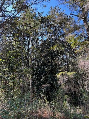 ABC Chat Holley RD & Harstvedt RD, Santa Rosa Beach, FL 32459