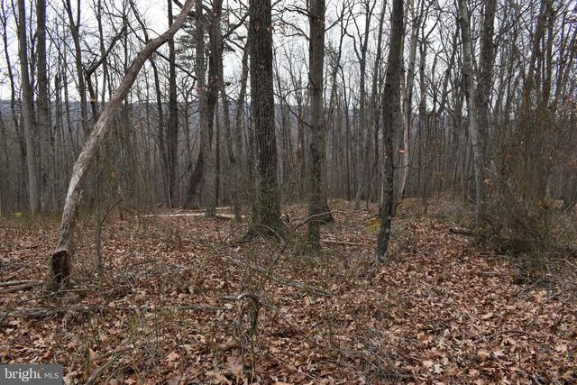 58 BIRCH GROVE LN, Berkeley Springs, WV 25411