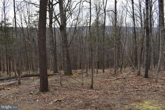 58 BIRCH GROVE LN, Berkeley Springs, WV 25411