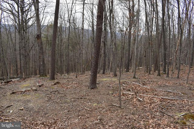 58 BIRCH GROVE LN, Berkeley Springs, WV 25411