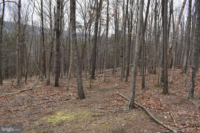 58 BIRCH GROVE LN, Berkeley Springs, WV 25411