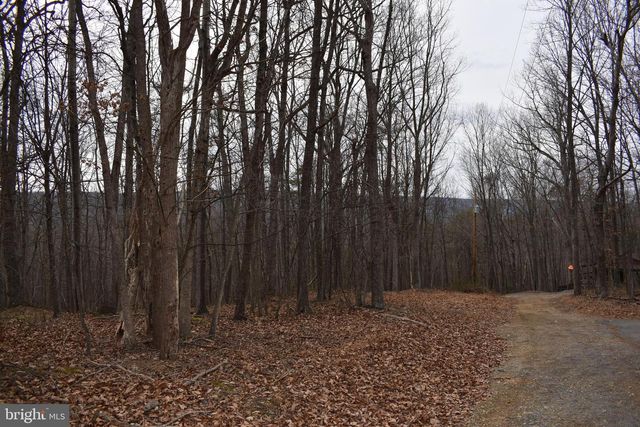 58 BIRCH GROVE LN, Berkeley Springs, WV 25411