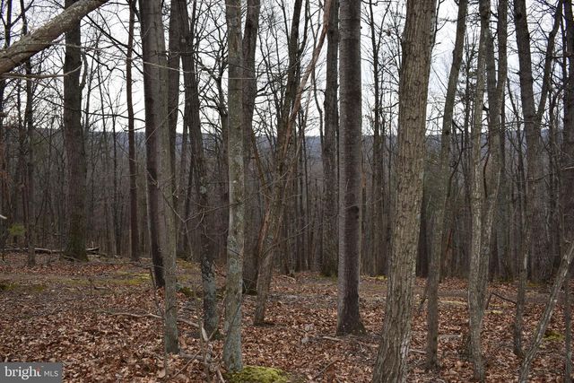 58 BIRCH GROVE LN, Berkeley Springs, WV 25411