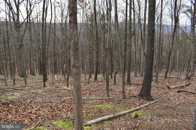 58 BIRCH GROVE LN, Berkeley Springs, WV 25411