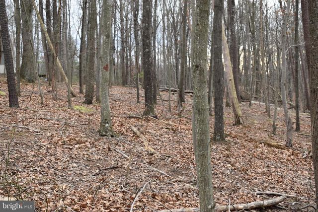 58 BIRCH GROVE LN, Berkeley Springs, WV 25411