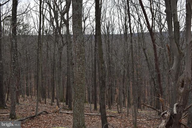 58 BIRCH GROVE LN, Berkeley Springs, WV 25411