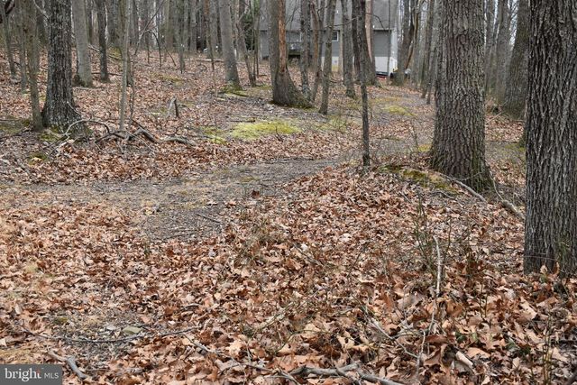 58 BIRCH GROVE LN, Berkeley Springs, WV 25411