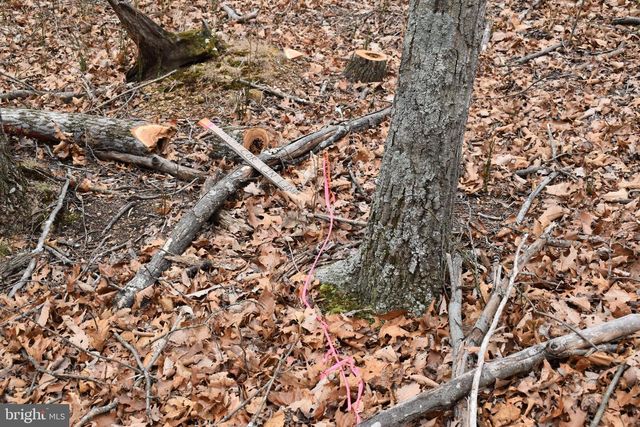 58 BIRCH GROVE LN, Berkeley Springs, WV 25411