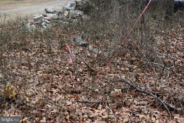 58 BIRCH GROVE LN, Berkeley Springs, WV 25411