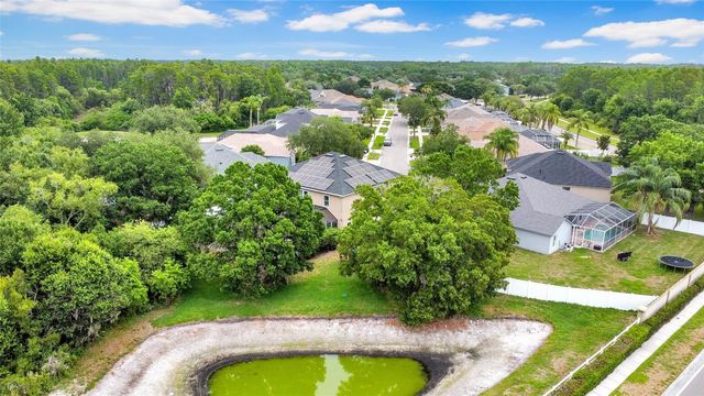 3103 ASHMONTE DRIVE, Land O Lakes, FL 34638