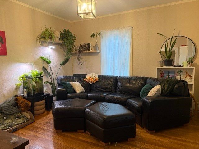 80 Dean Ave., Franklin, MA 02038