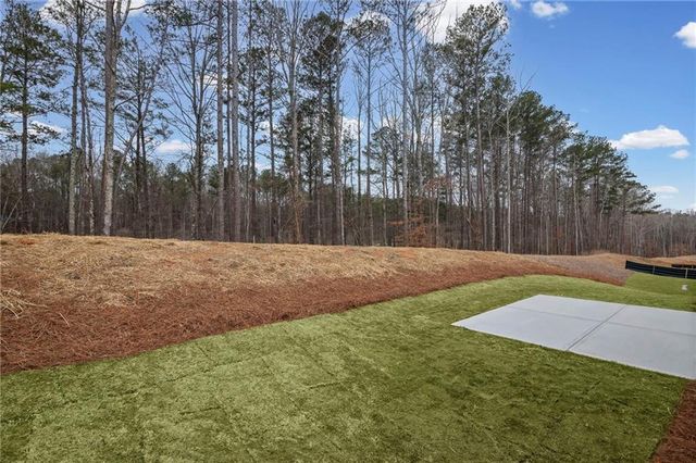 231 Sage Woods Way, Dallas, GA 30132