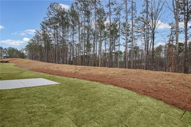 231 Sage Woods Way, Dallas, GA 30132