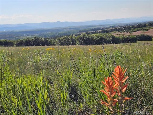 2937 Keep Drive, Sedalia, CO 80135